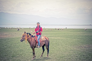 青海湖骑马（一）