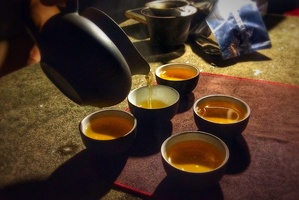 第N次岳麓山观琼台煮茶