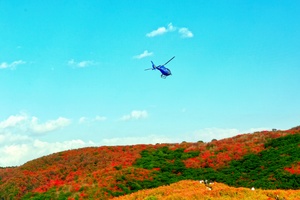 大围山直升机看花（二）