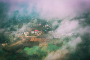 大雾下的新禾村（一）