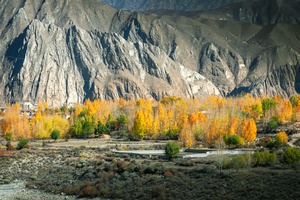 雅鲁藏布江畔的秋色