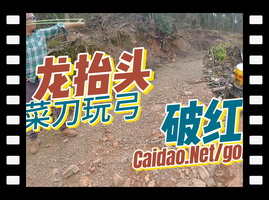 10米外弹弓10珠秒穿红牛罐