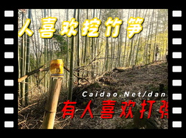 挖笋打弹弓拒绝精神内耗