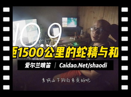 青城山下白素贞哨笛菜刀版
