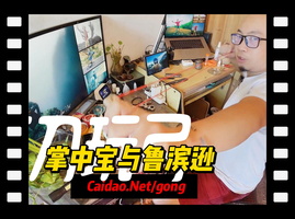速射精灵掌中宝与鲁滨逊速射弓