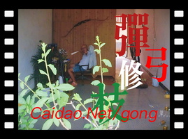 菜刀玩弹弓苦练千斤泥丸弹弓术只为给盆景修枝