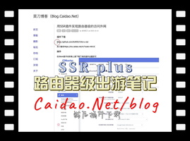 一个插件实现整个网络都能访问外网