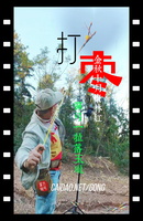 深秋十月枣林红菜刀弹弓轻拉落玉珑