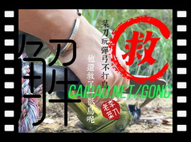 菜刀玩弹弓不打鸟只救鸟