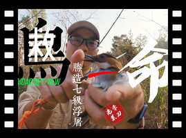 就算是玩弹弓也可以让坠落重回飞翔